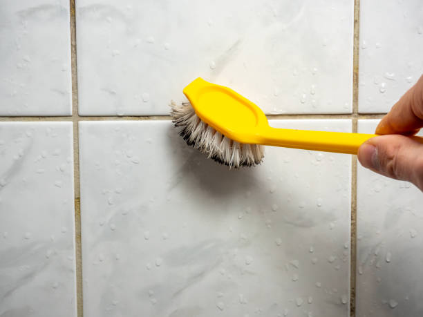 Best Residential Mold Removal  in Tarboro, NC