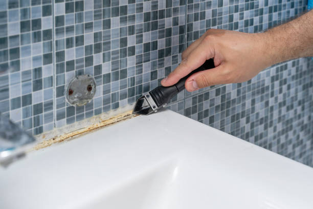 Best Mold Cleaning Services  in Tarboro, NC