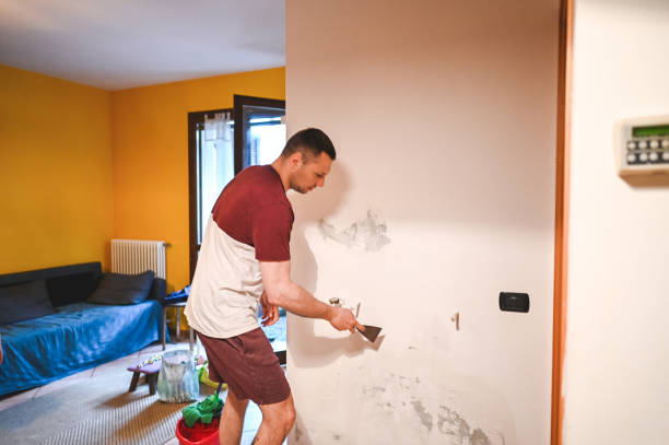 Best Home Mold Removal  in Tarboro, NC